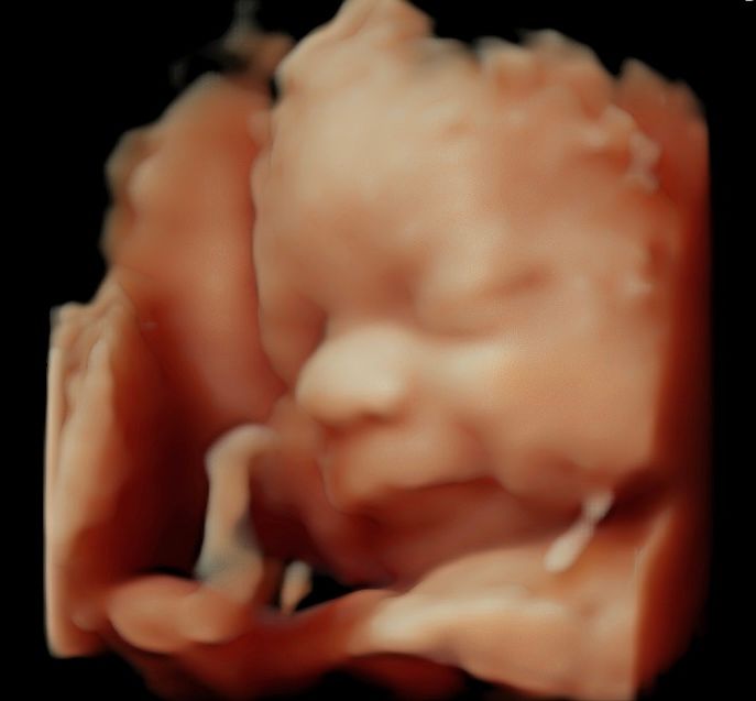 Griselda Reyes Torres-18