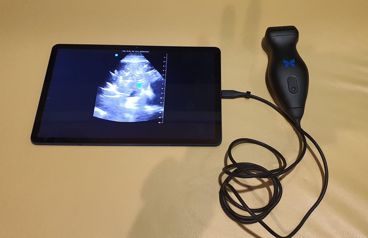 Marco Antonio Reynoso Hernández-8