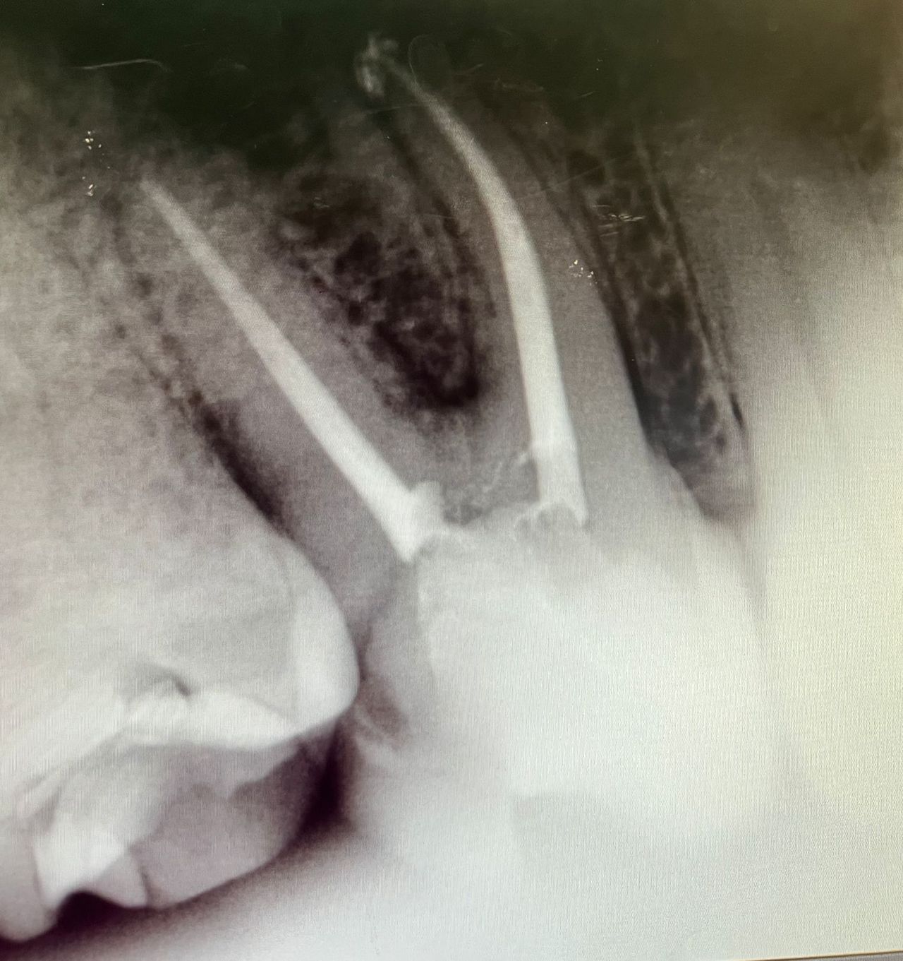 Sonia Lucía Senties Perez Carreño-4