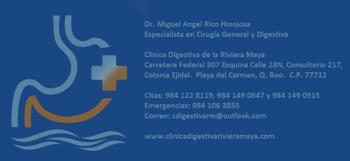 Miguel Angel Rico Hinojosa-4