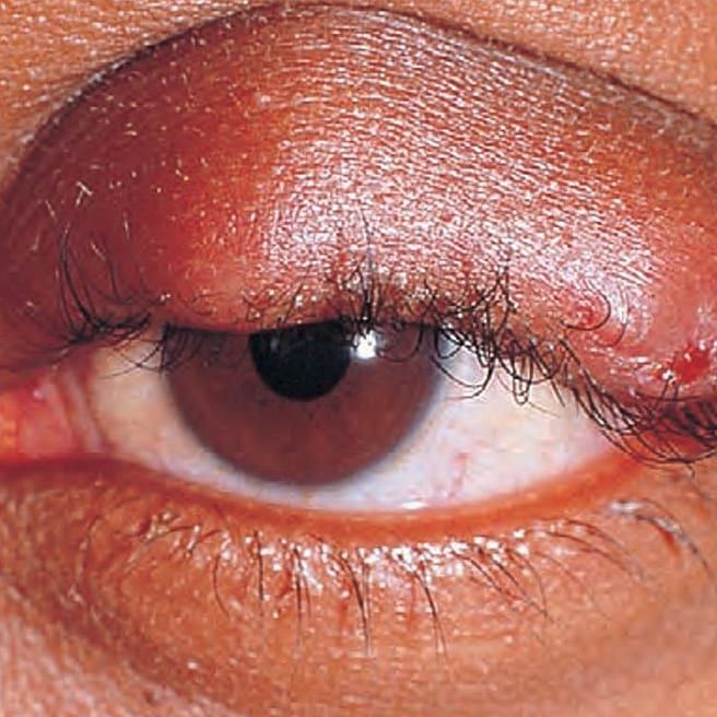 Alán De Jesús Gaytán Lorenzo-3