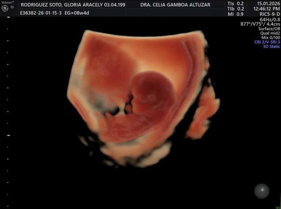 Celia Ivonne Gamboa Altúzar-13