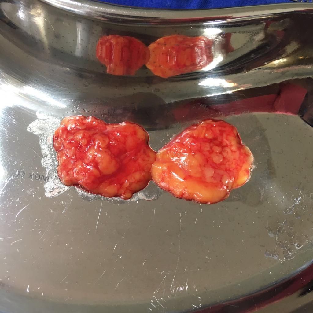 Miguel Tapia Ruiz-17