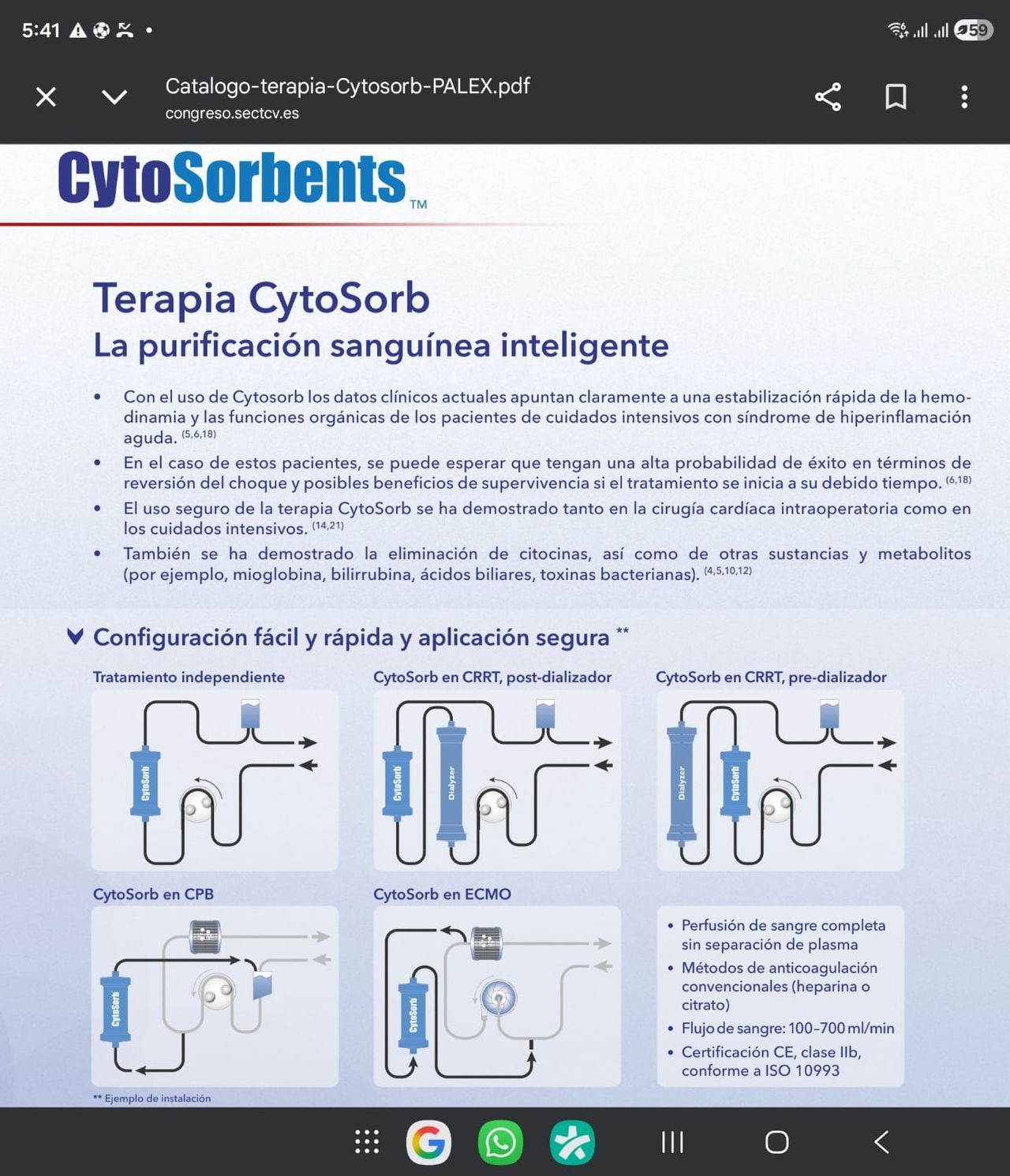 Renato Alberto Domínguez Briones-52