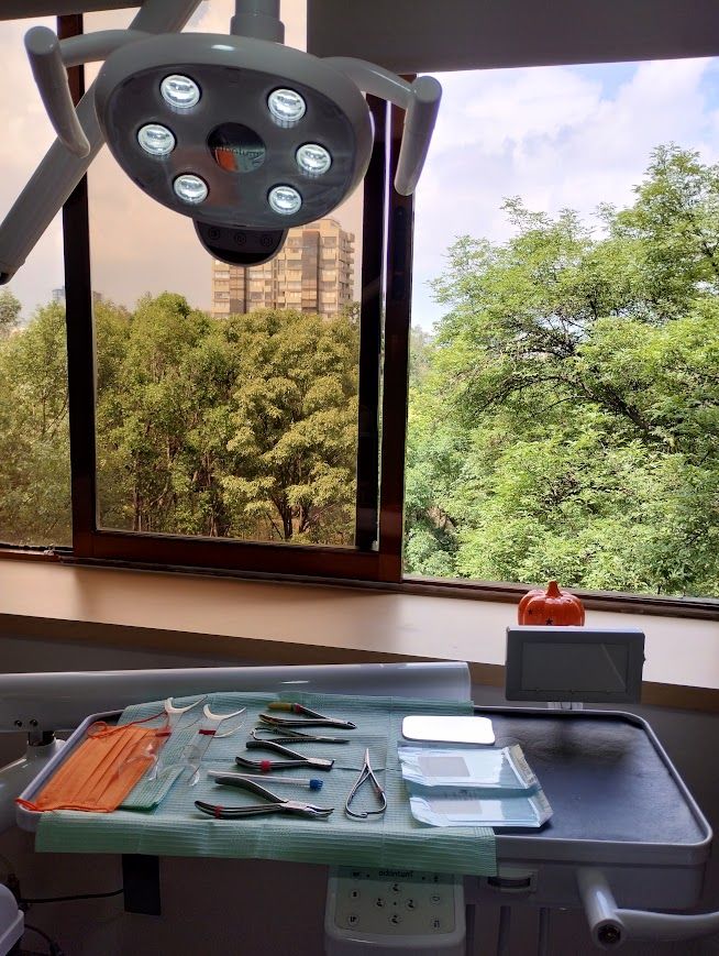 Andrea Hernández Garcia-0