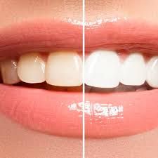 Wendy Sánchez P.-34