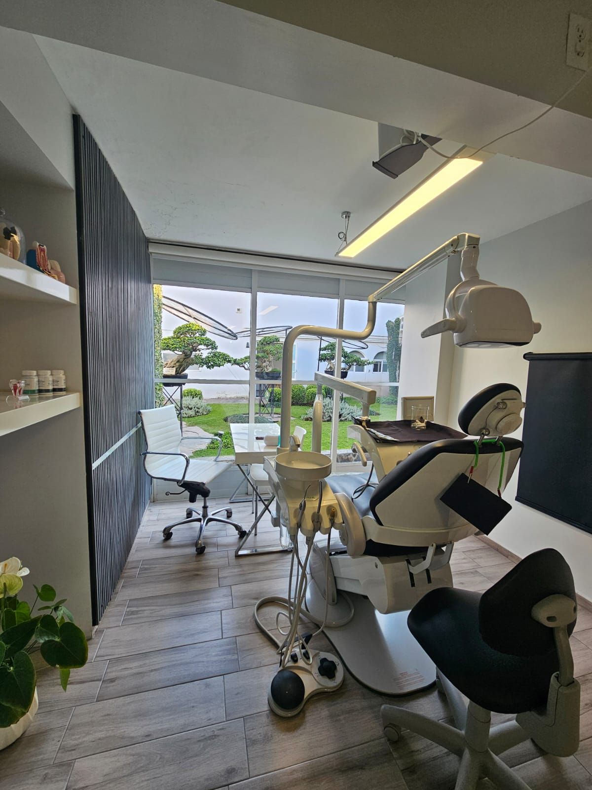 Paulina Hernandez Suarez-4