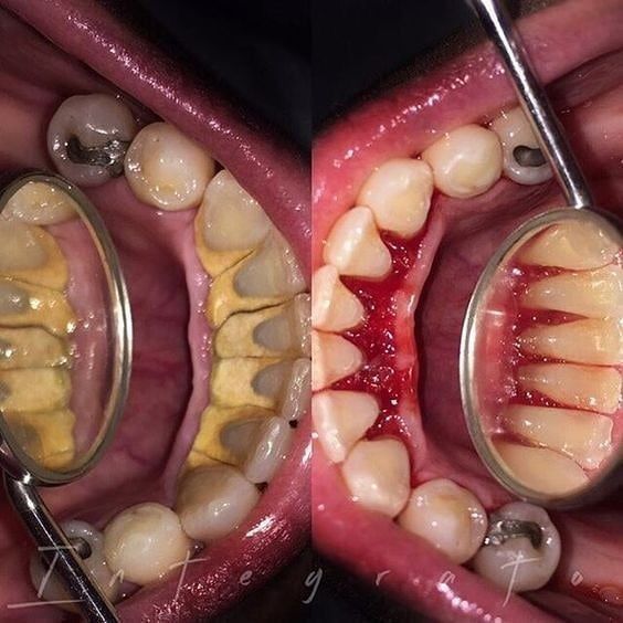 Norma Alicia Cienfuegos Reyes-6