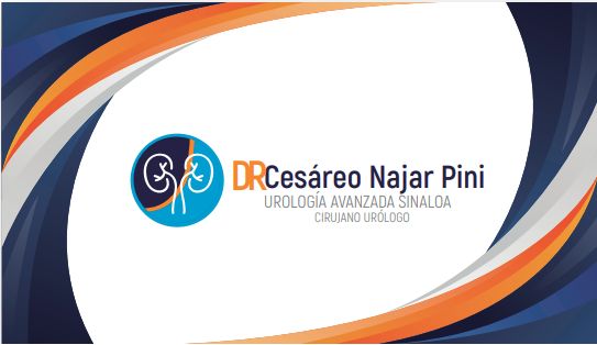 Cesáreo Najar Pini-2