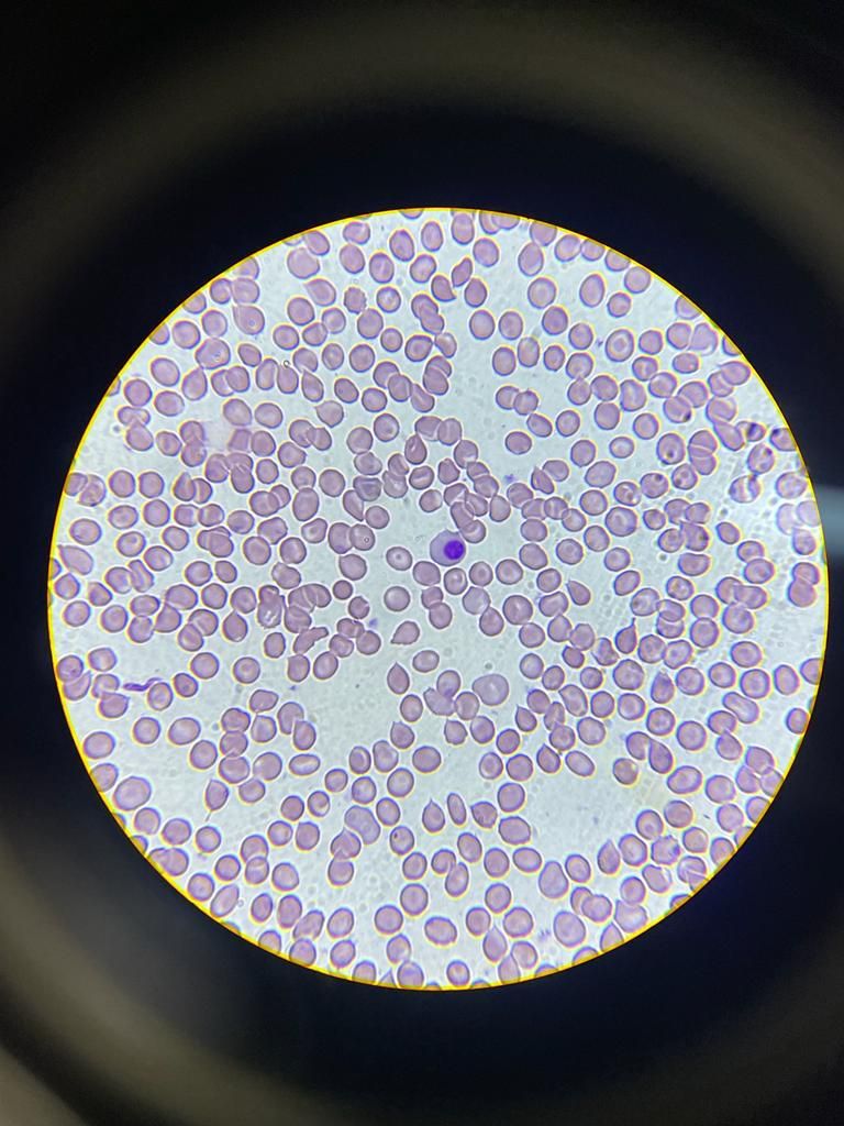 Irina Y. Cazares Martinez-15