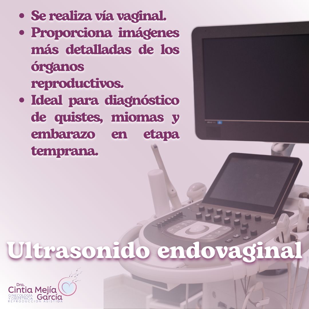 Cintia Mejia Garcia-7