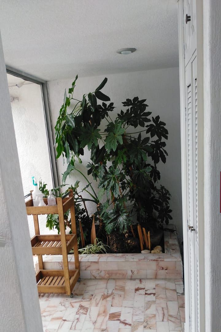 Irupé Domínguez-51