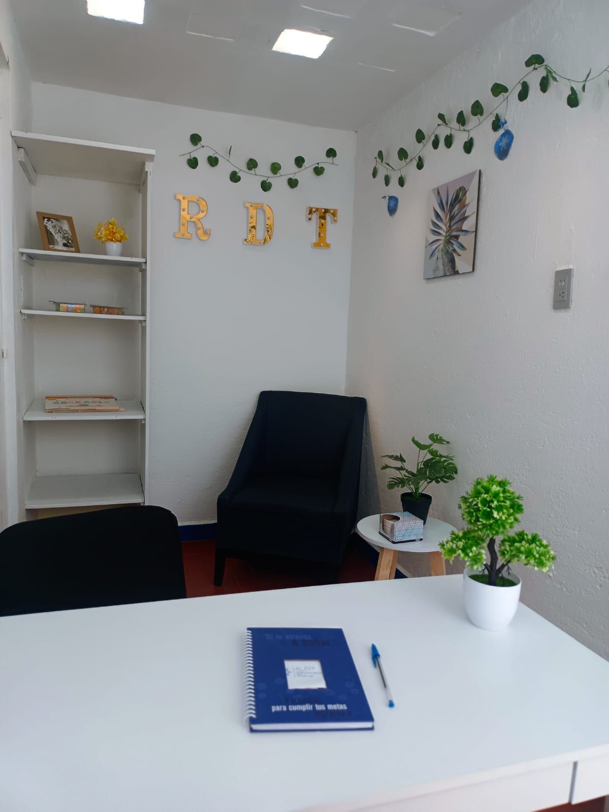 Haydée Mejia Navia-0