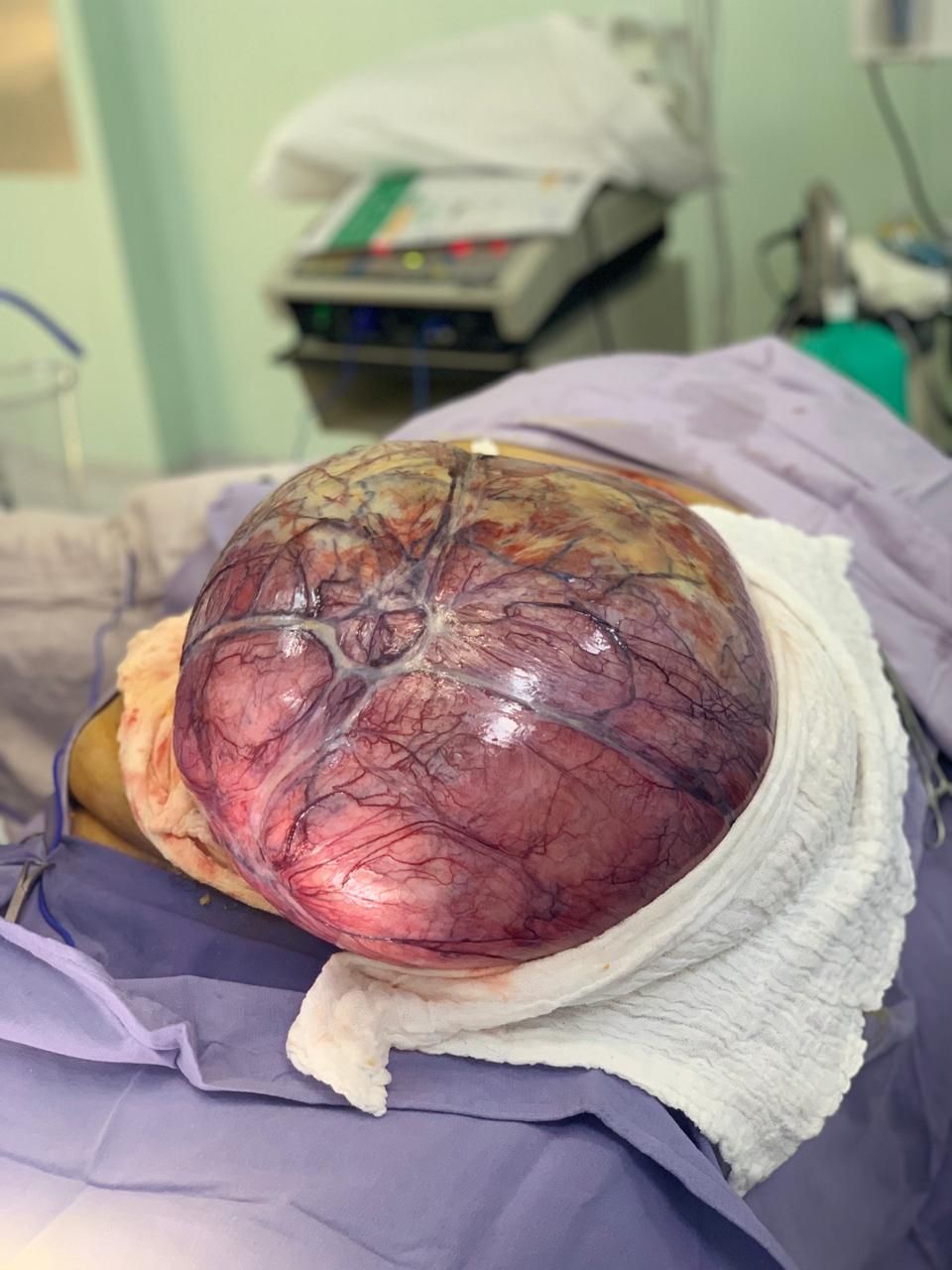 César Espejel Valdés-24