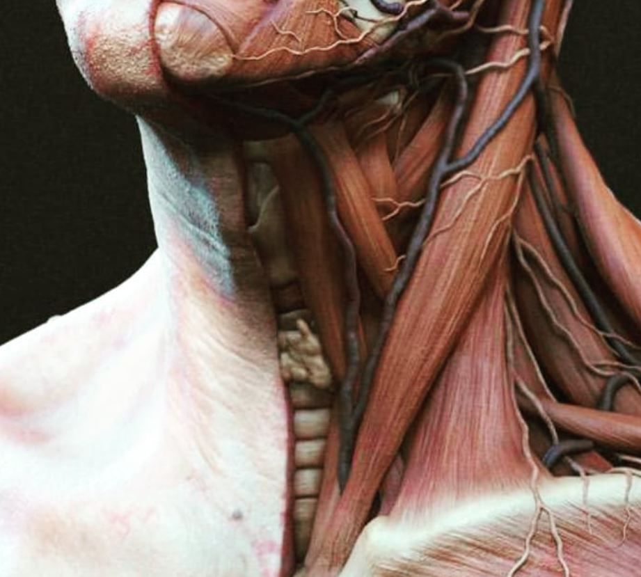 Daniel Alejandro Cantu Pedroza-5