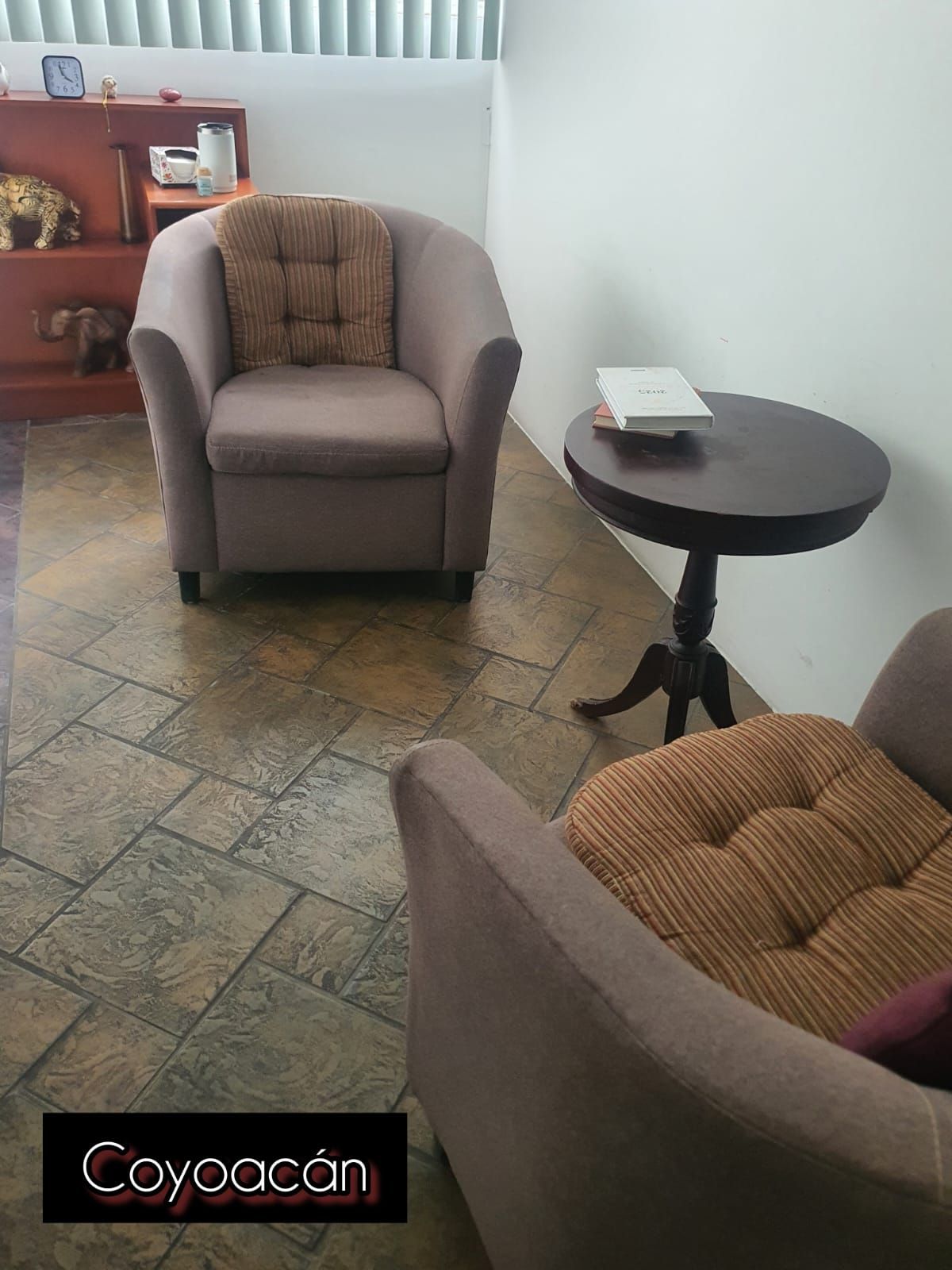 Carla Hinojosa Polo-3