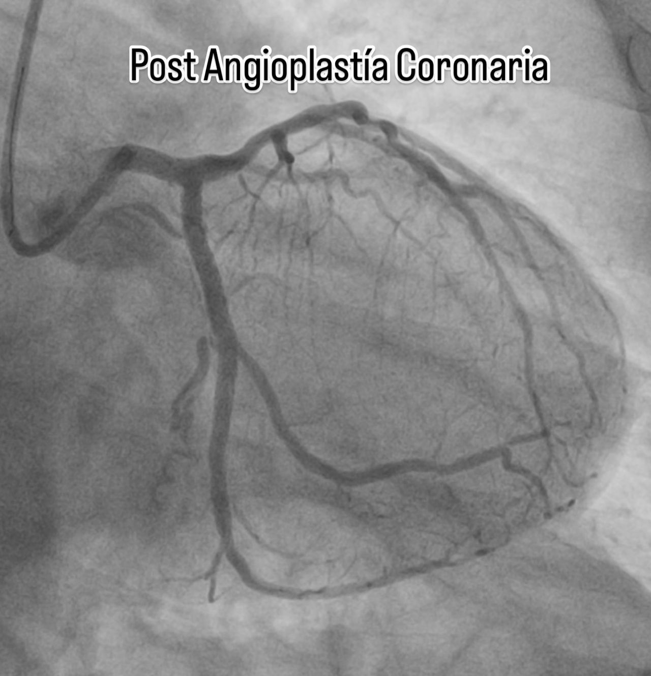 Hector Guillermo Betancourt Del Campo-14