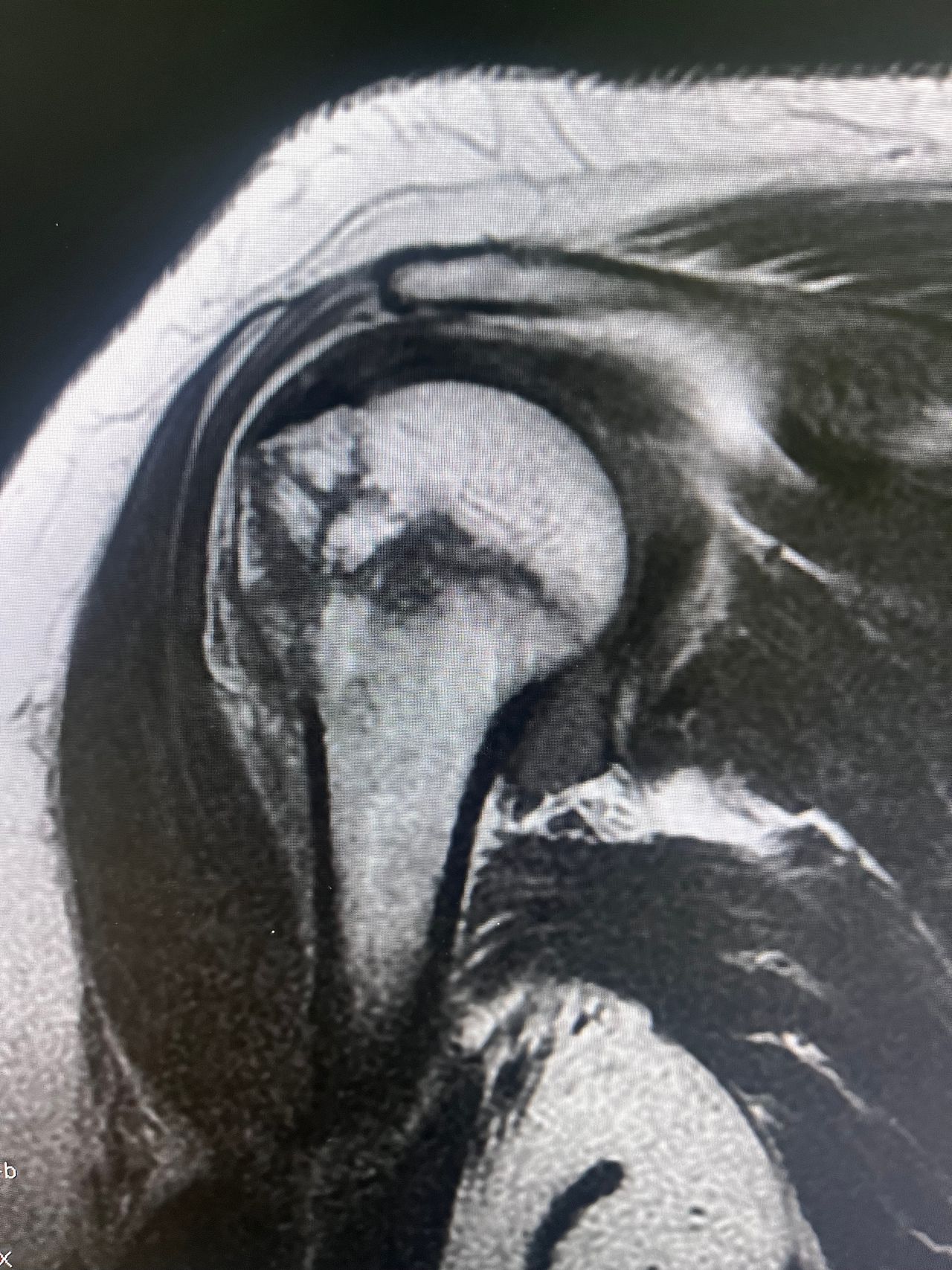 Rogelio Hernández García-40