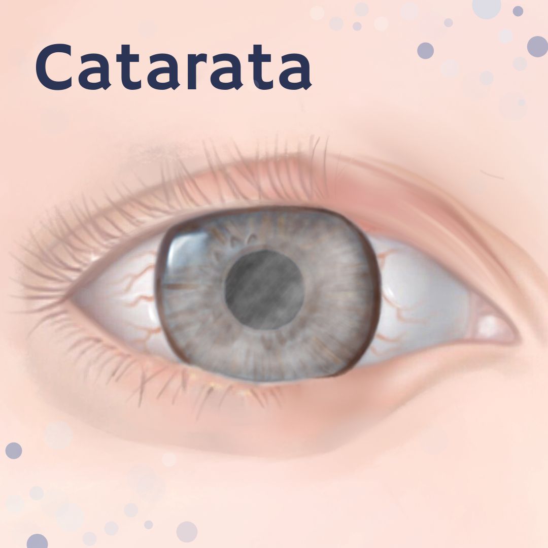 Kristian Alfonso Vazquez Romo-12