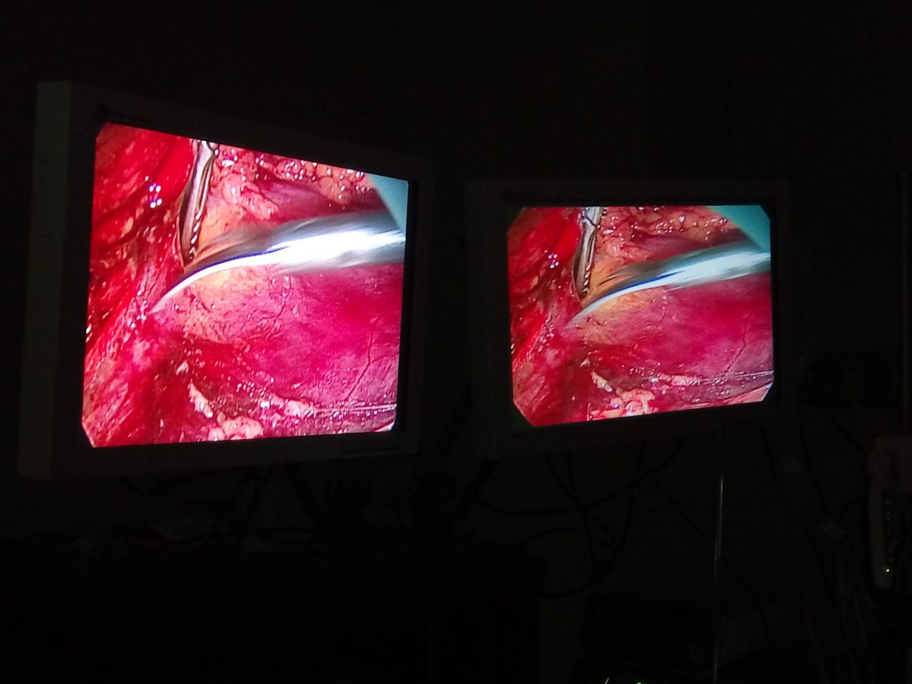 Tulio César Hernández Alonso-3