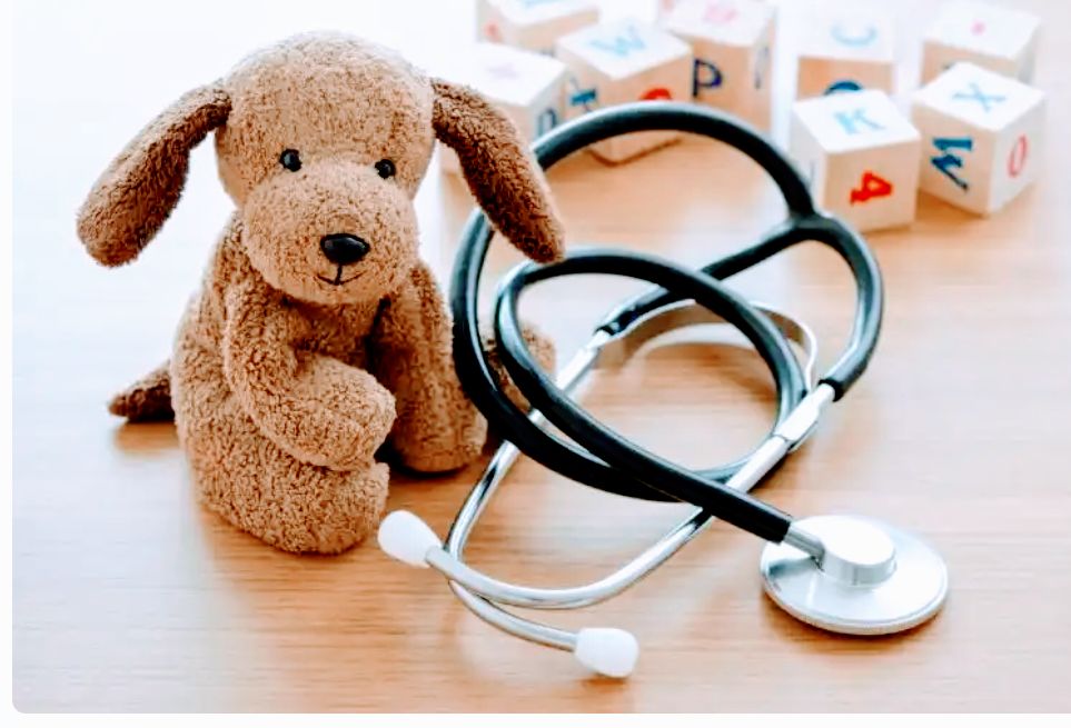 Laura Ivonne Vélez Irigoyen-2