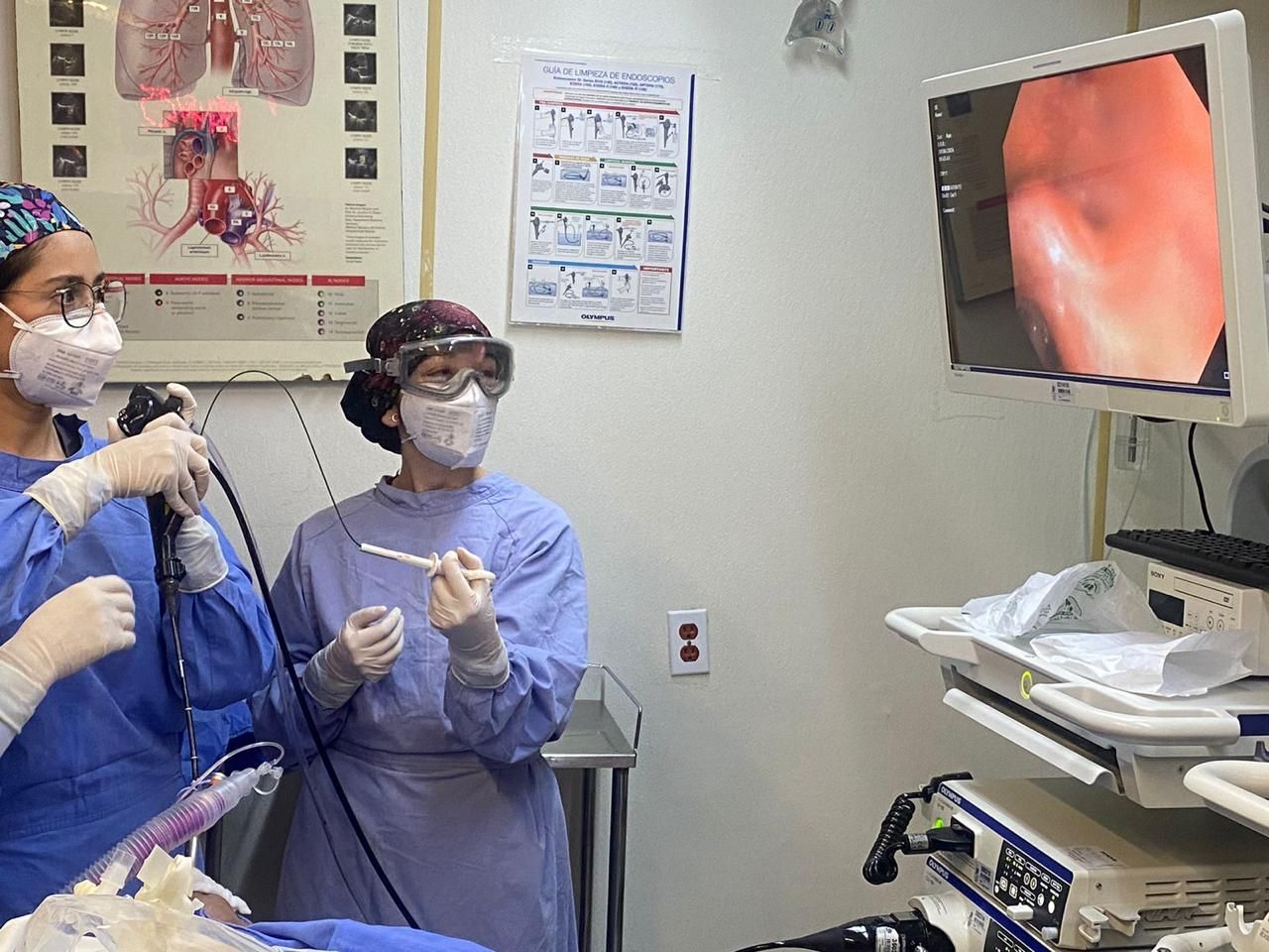 Silvia Polett  Ramirez Valdespino -1