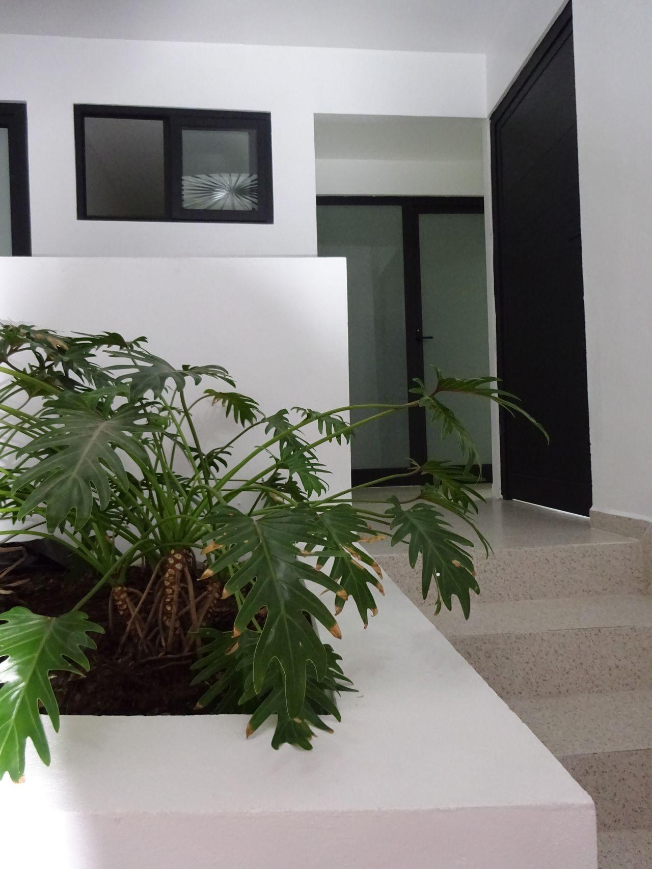 Sara Pérez Cortés-1