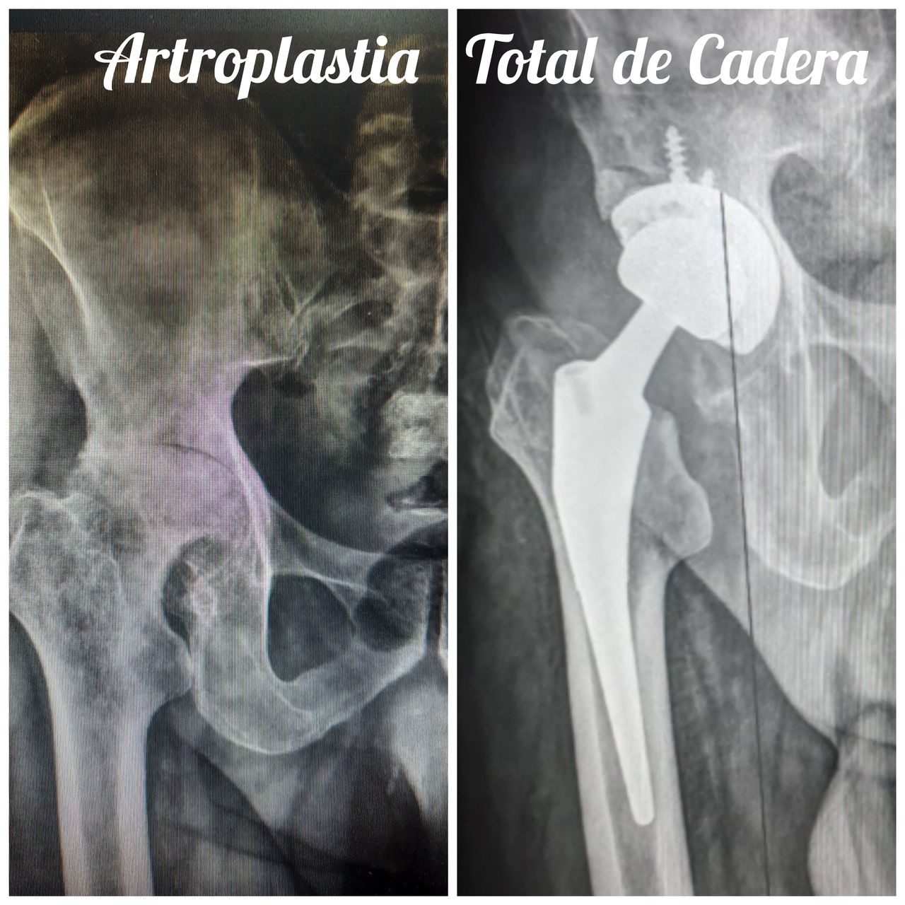 Otilia Gallegos De La Torre-1