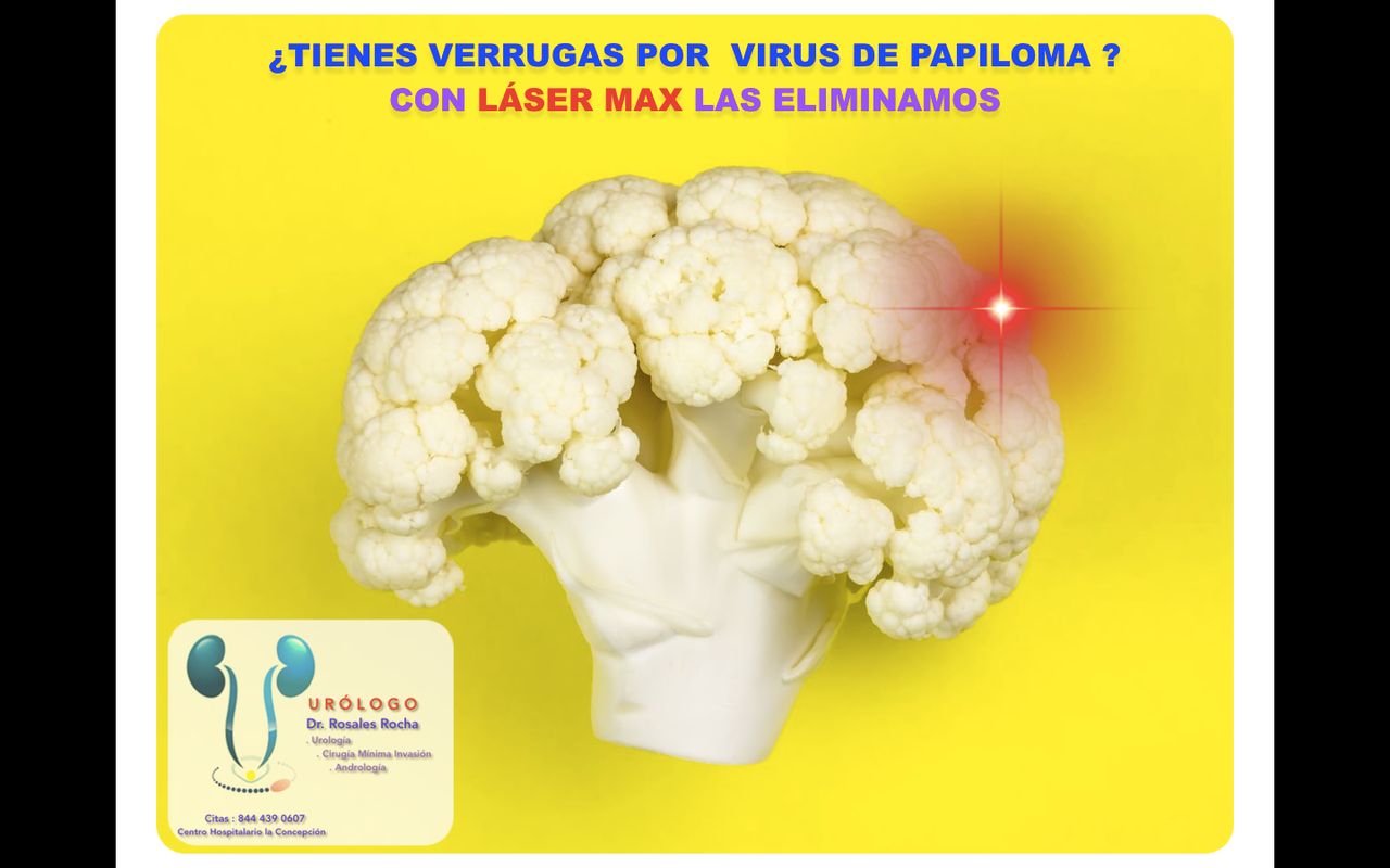 Guillermo Enrique Rosales Rocha-2