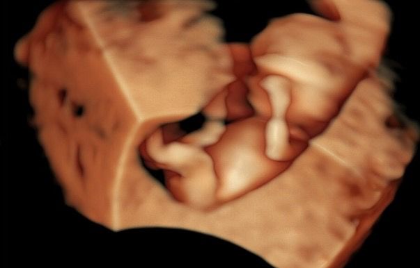 María José Guerrero Cervantes-4