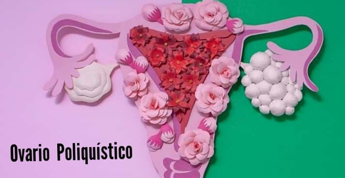 Ma. Del Carmen Hernández Ovando-2