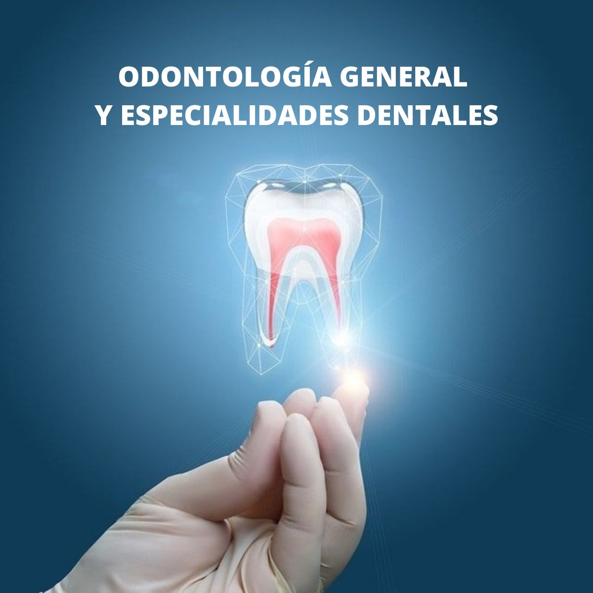 Jorge Benjamin Amezcua Ramos-30