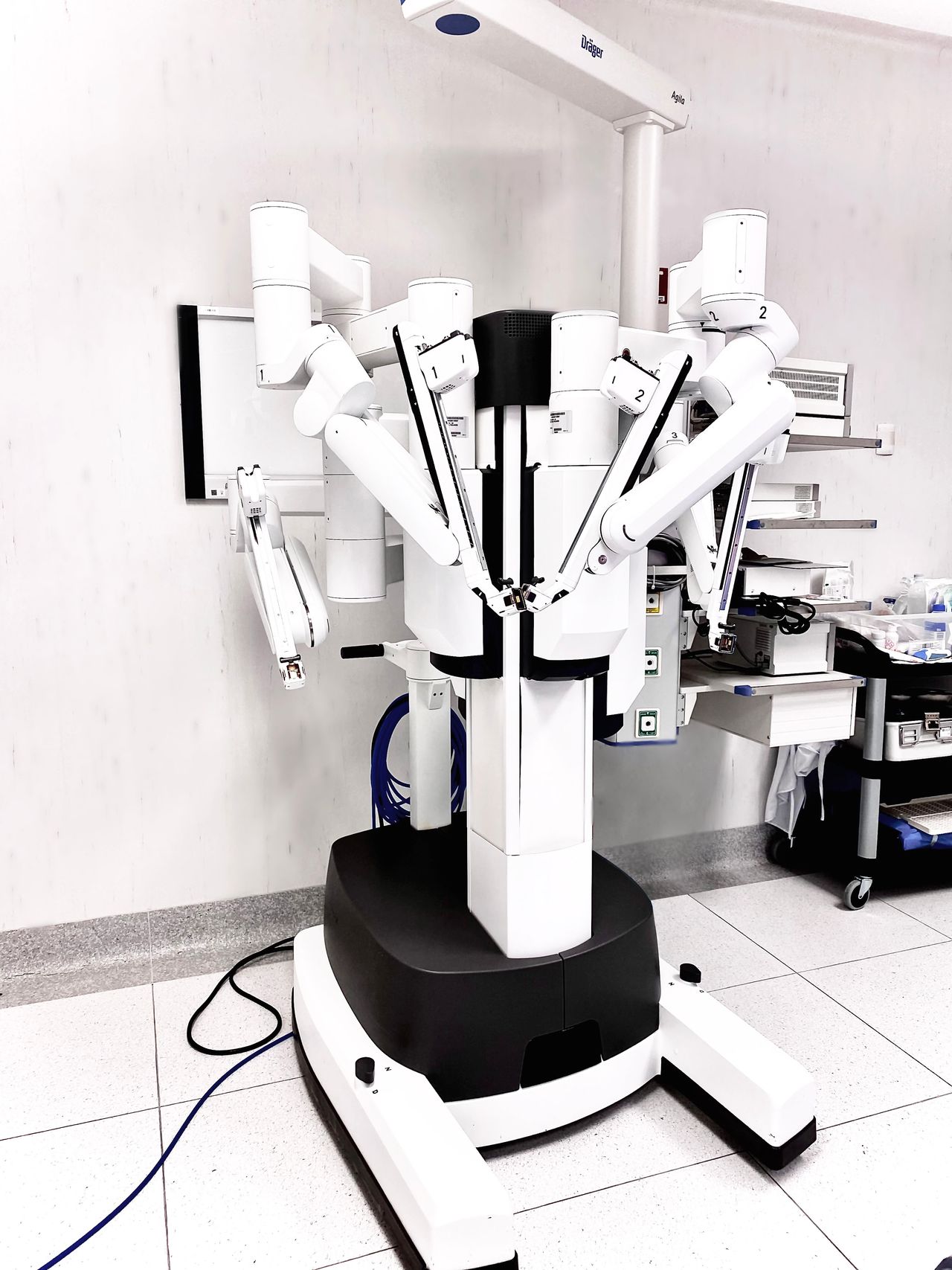 Luis Fernando Galicia Belaunzarán-4