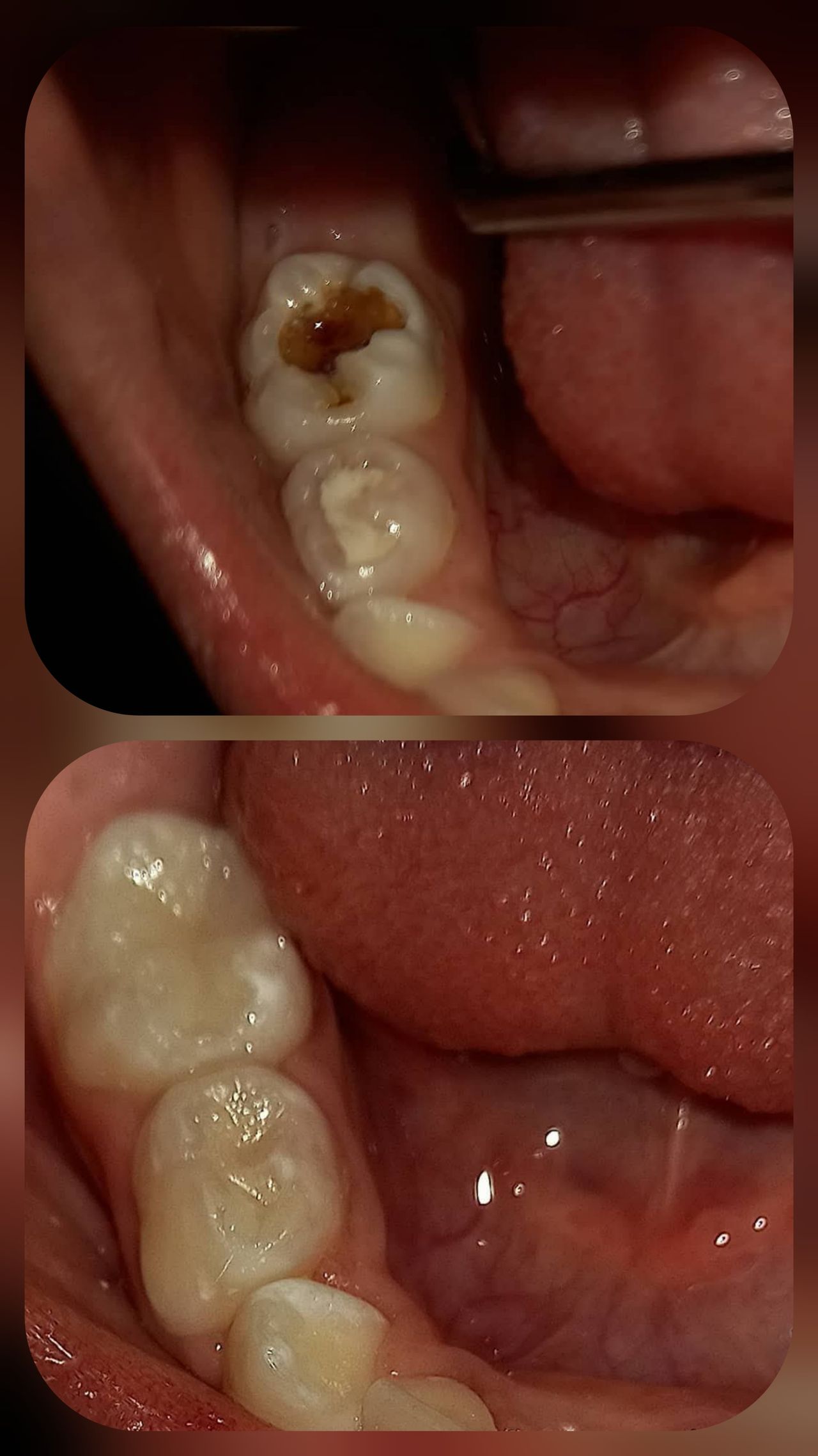 Leslie Michelle Galan Bahena-13