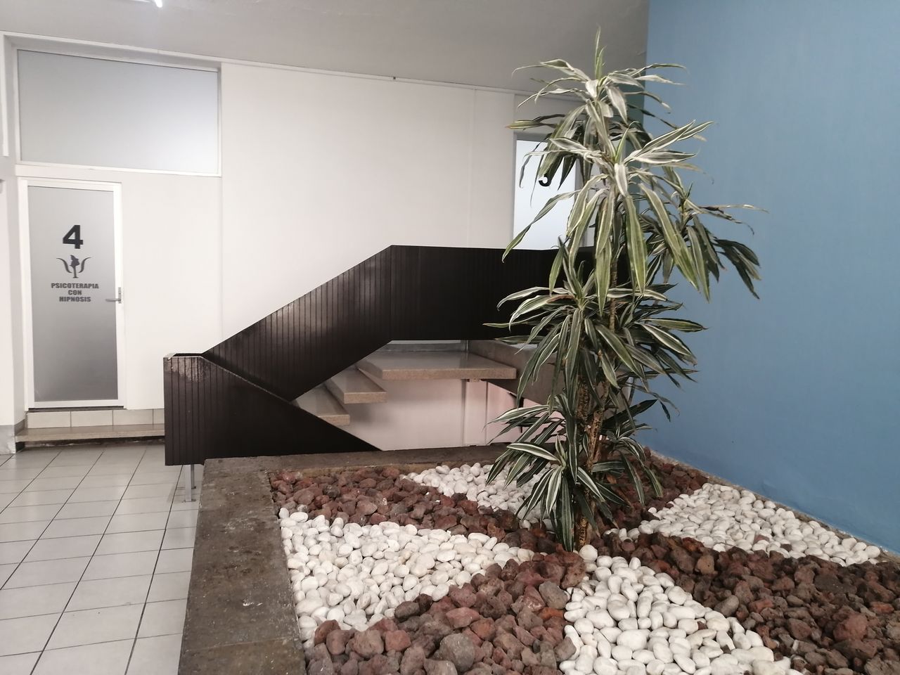 Celso Hernández Morales-1