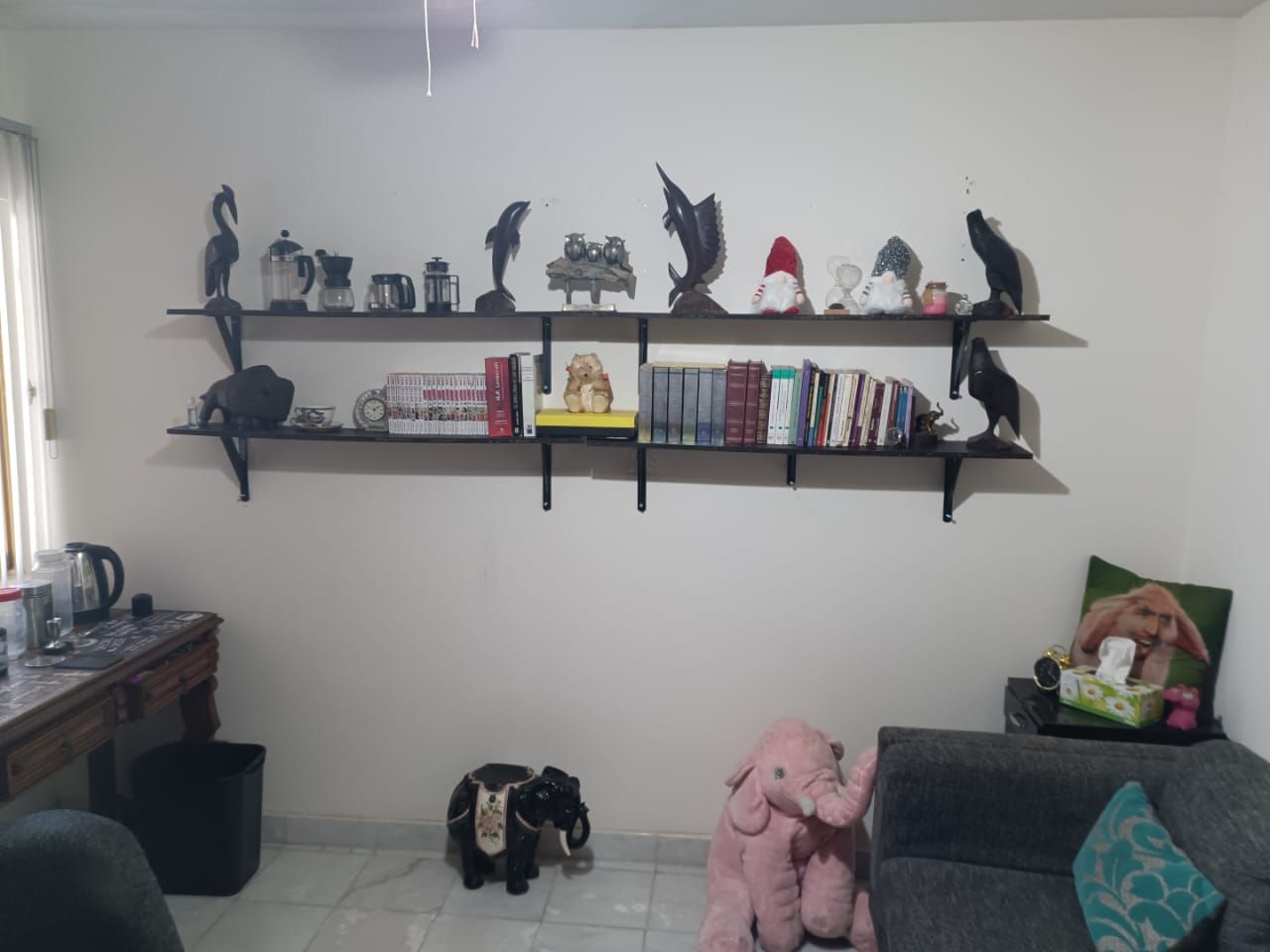 Mario Alfredo Limón Morales-6