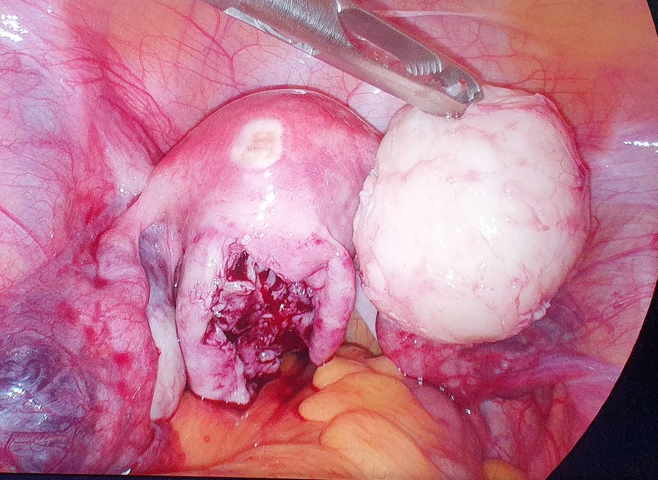 Martha Helena Cabezas Pérez-13