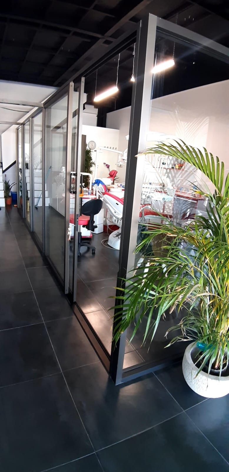 Tulia Andrade Rodriguez-0