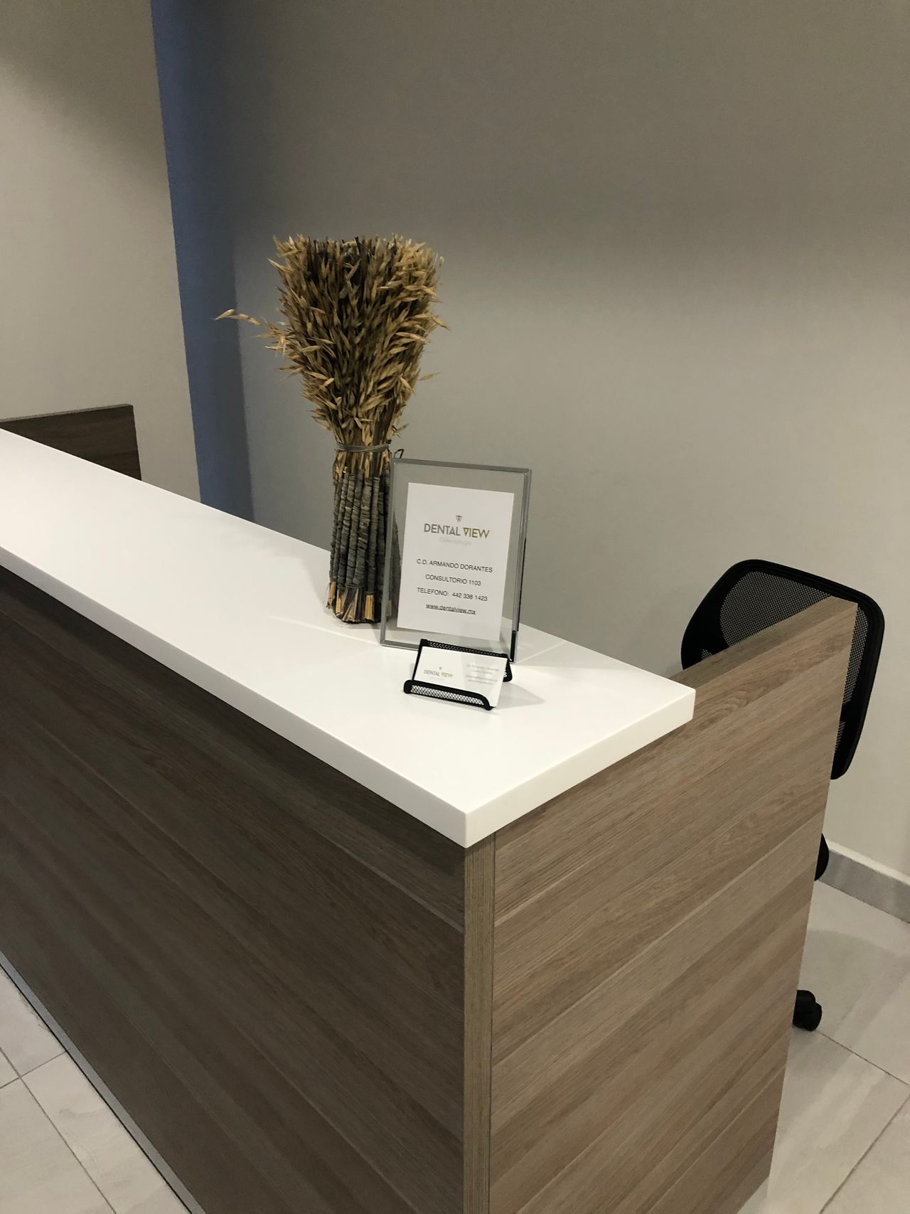 Armando Dorantes Corral-7