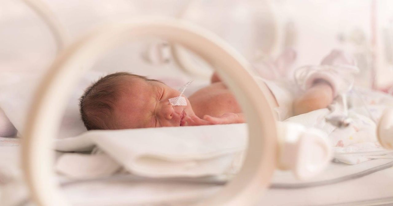 Jorge Misael Rivas-4