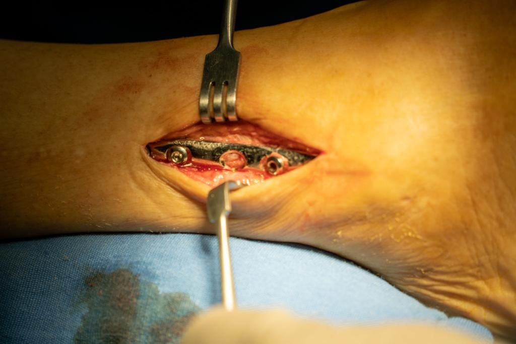 Carlos Horacio Sanchez Rodrigo-7