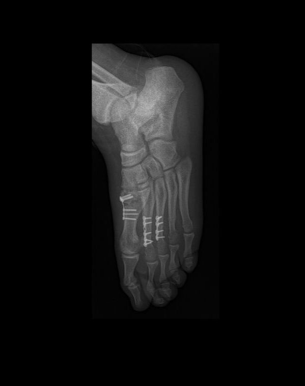 Salvador Medina Garnica-8