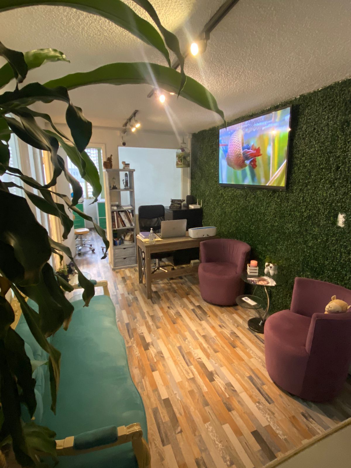 Montserrat Alcántara Conde-14