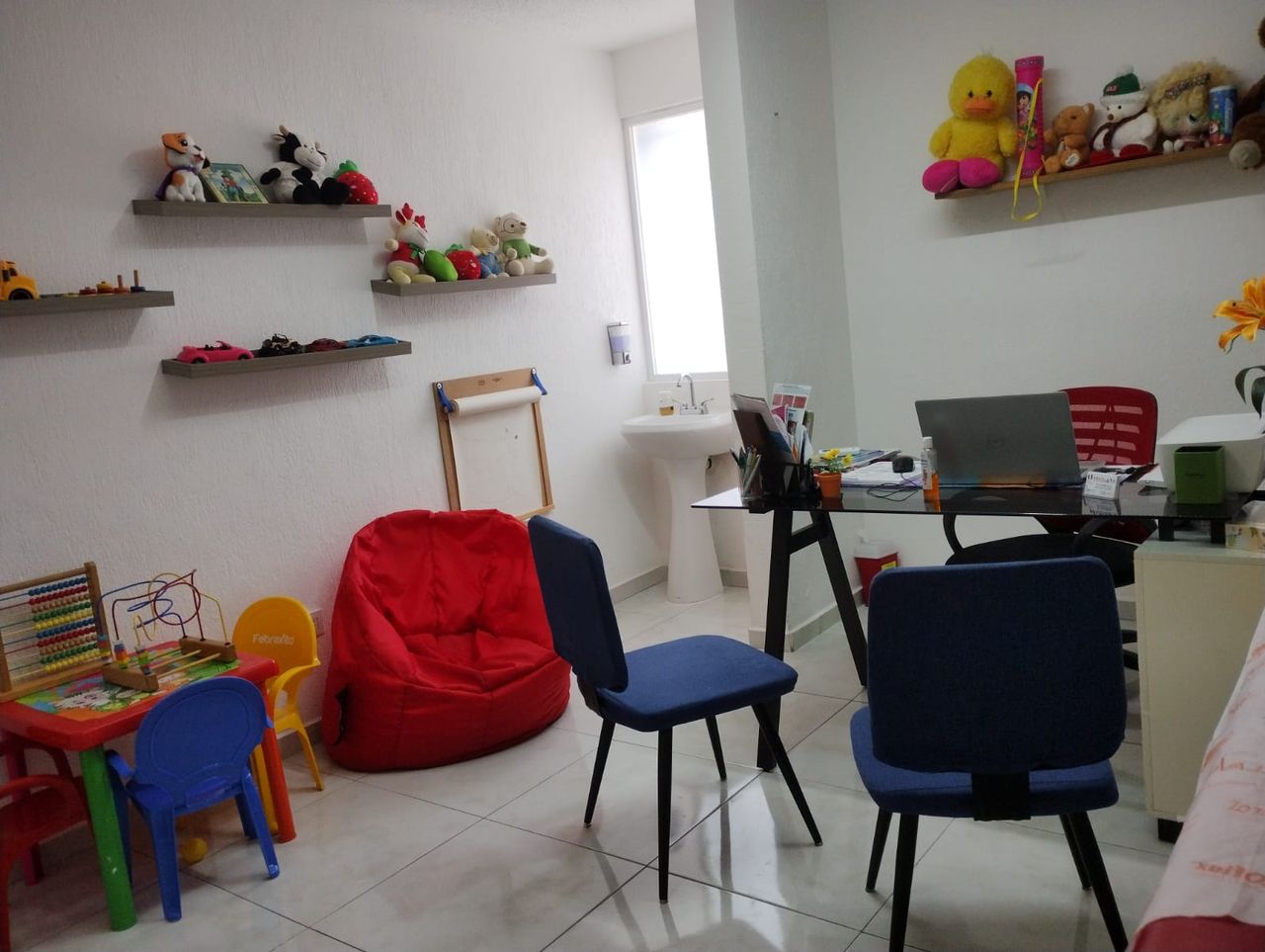 Ana Guillén Dosal-7