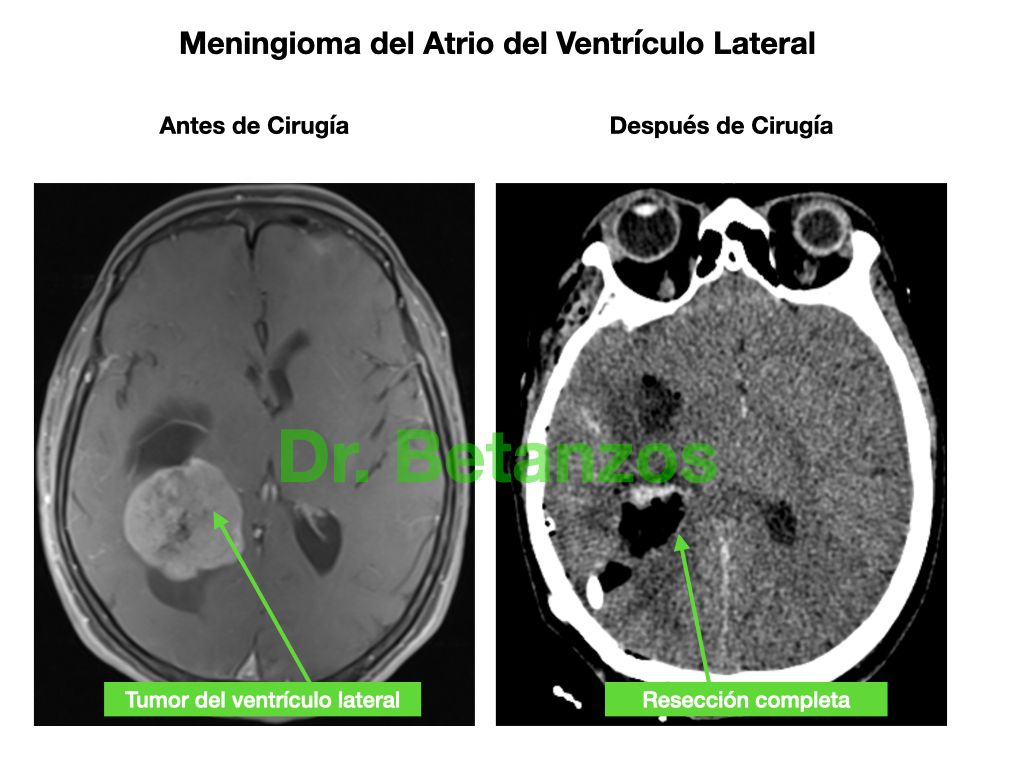 Aleixandre Betanzos Villegas-19