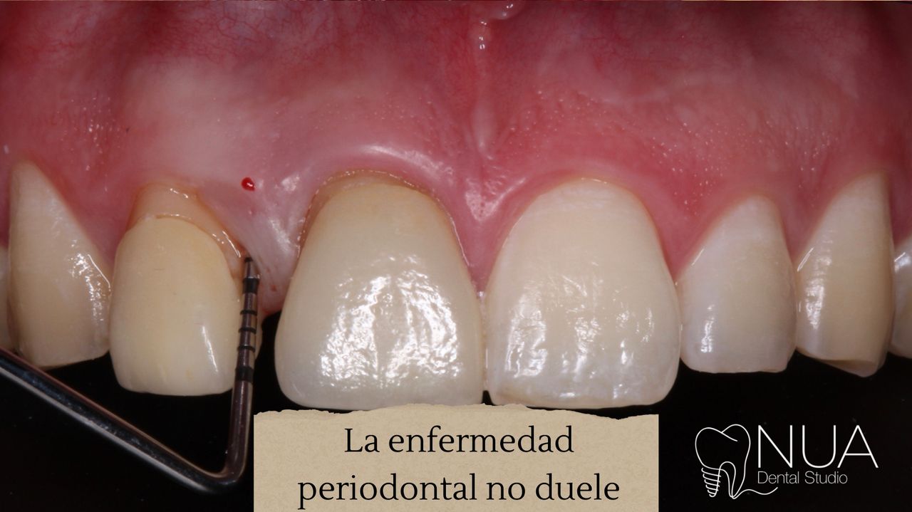 Monica Gabriela Magaña Pérez-4