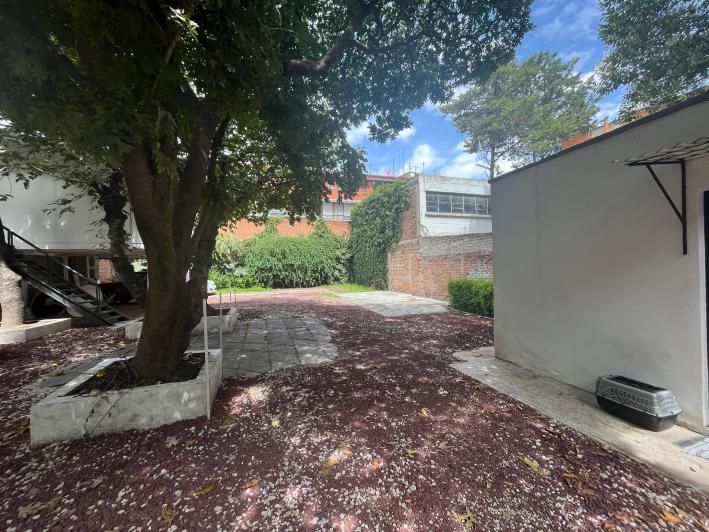 Alma Villa Rodríguez-5