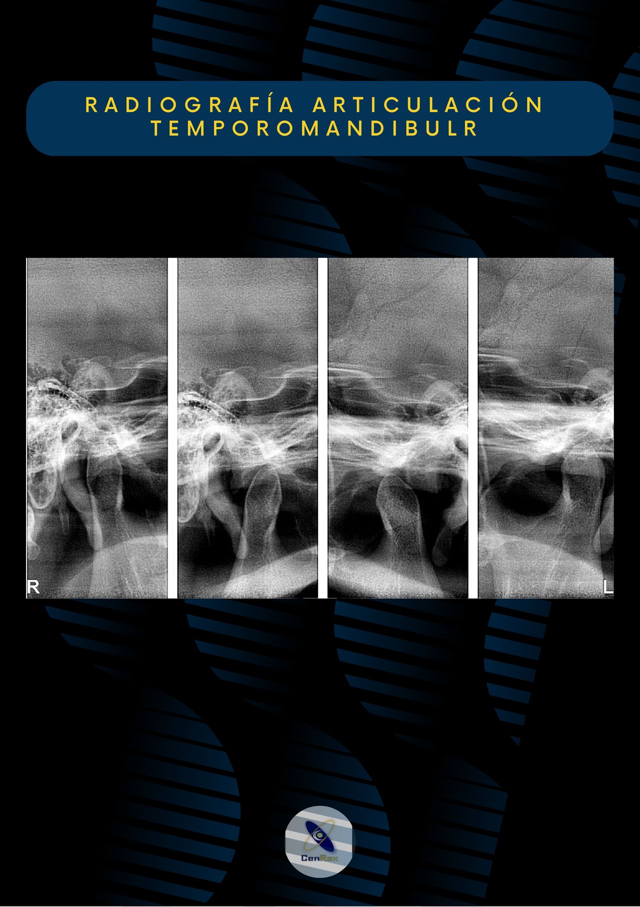 Lizbeth Rodríguez Capetillo-25