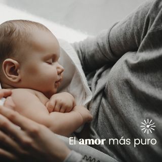 Juan Zepeda Neri-4