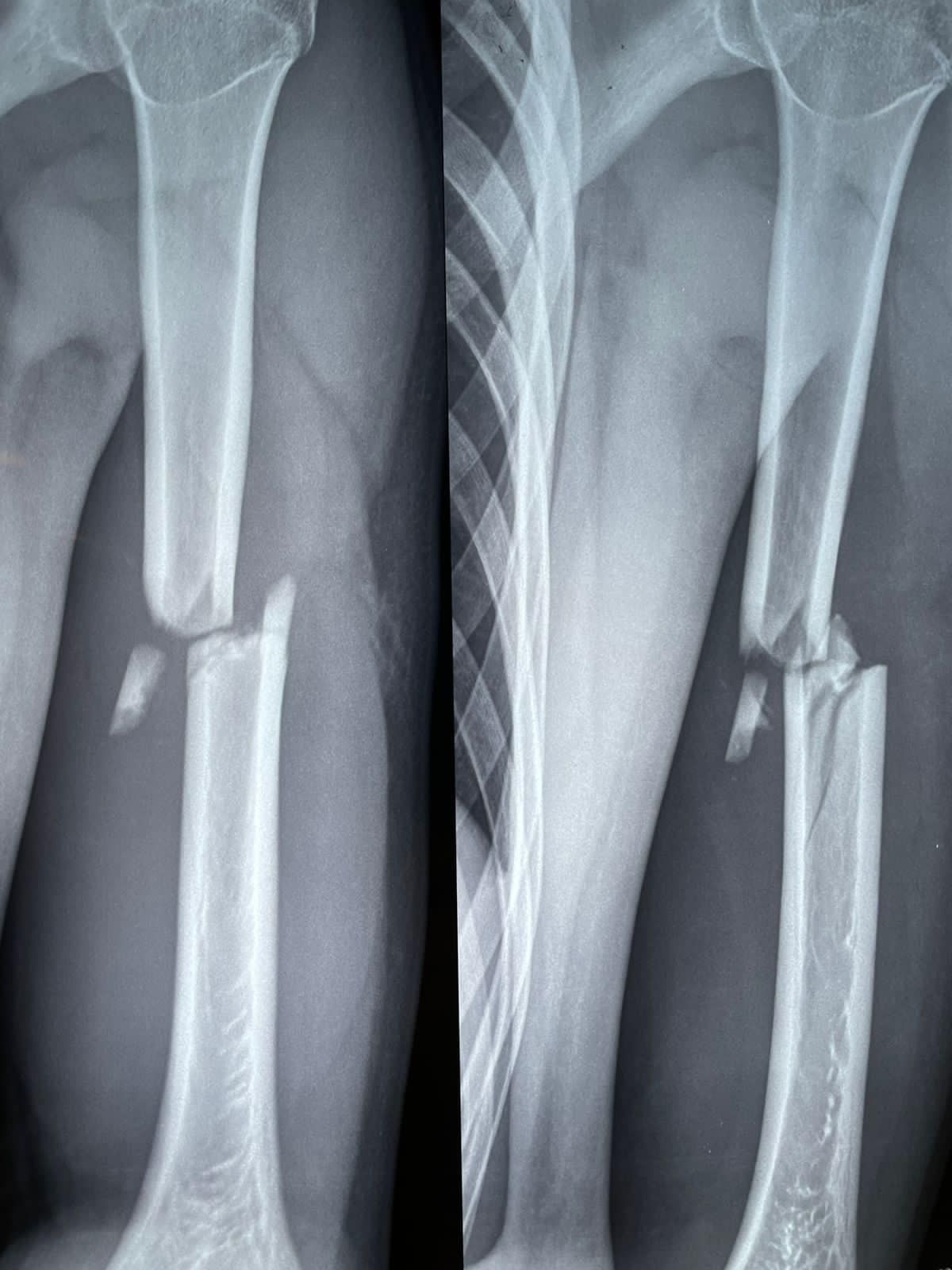 Felix Alfaro Arias-18